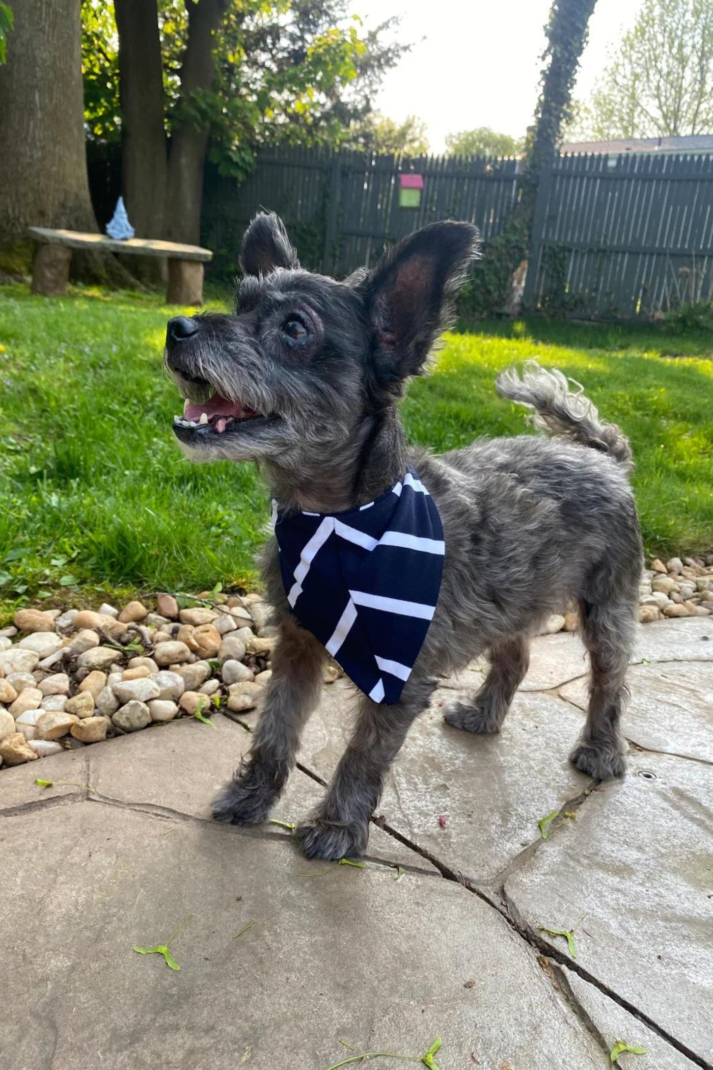 Navy Stripe Recovery Robe & Matching Pet Bandana Set