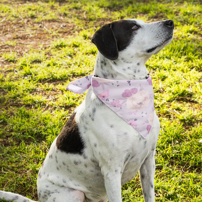 Anais Pet Bandana